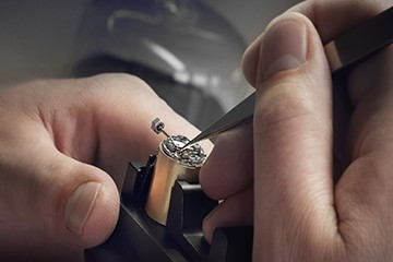 宁波劳力士为什么快